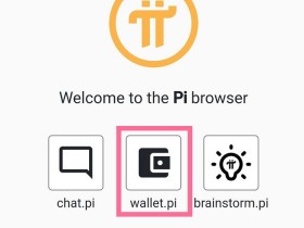 pi network钱包操作教程