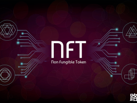 波场链TRX上NFT发行教程——web页面上传NFT头像到IPFS链【pdf+视频TRX链NFT发行教程下载】