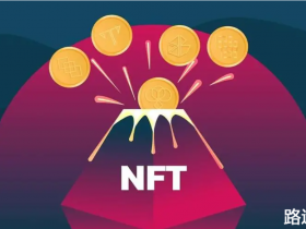 币安BSC智能链发币教程——扫描所有NFT，根据NFT持有情况分红代币【pdf+视频BSC发币教程下载】